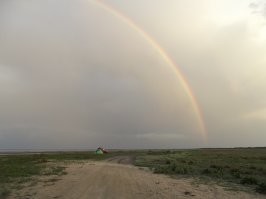 Каспий - это рай для рыбака! Ну и огромный плюс, что людей в радиусе 10км нет