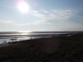 Каспий - это рай для рыбака! Ну и огромный плюс, что людей в радиусе 10км нет