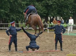 Прикольные и смешные картинки