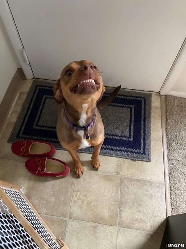 Так ему и надо!