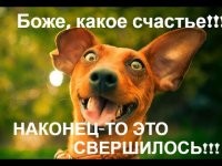 Студенты Петербурга смогут оплачивать проездные через мобильное приложение