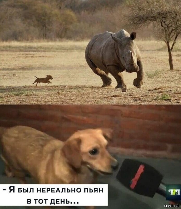 Солянка от 05.08.2020