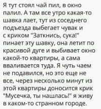 Баш, холст, масло, сентябрб 2008 года.