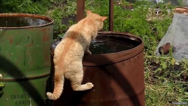 "Жарко мне,чё