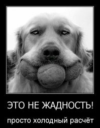 "Дайте таблеток от жадности, да побольше!": пост об очень алчных и корыстных