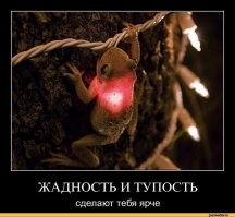"Дайте таблеток от жадности, да побольше!": пост об очень алчных и корыстных