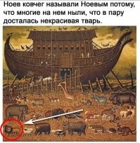 Эти львы ныли по другому поводу: вторая тварь попалась красивая. Но одного пола...((
