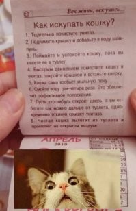 Прикольные и смешные картинки