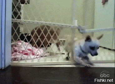 Солянка от 06.08.2020