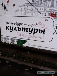 Пешеход из Питера набросился с кулаками на водителя, наехавшего на "зебру"