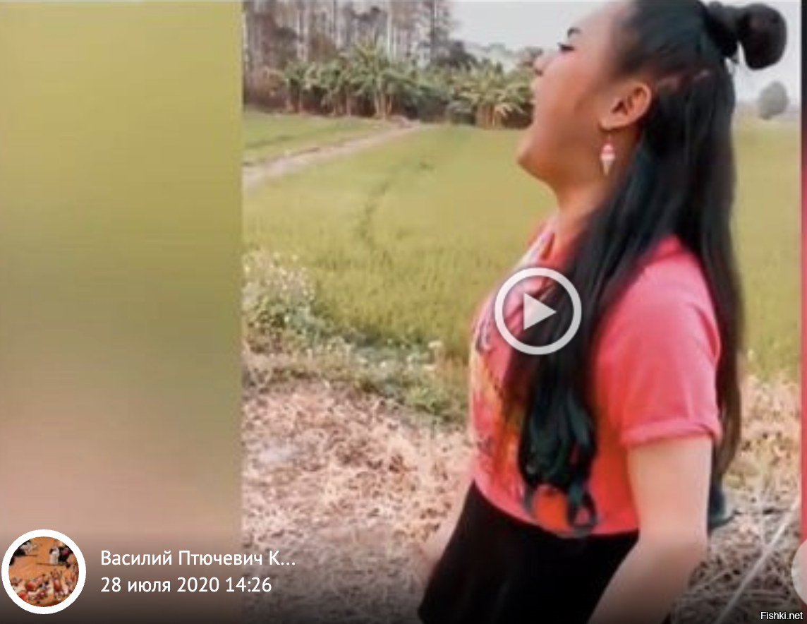 Вас девушка ищет.