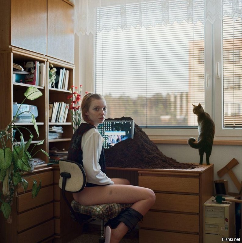 У кота на морде написано, -*Подумаешь*