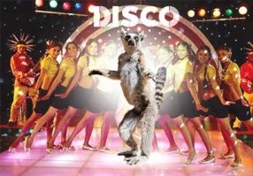 Впечатляющие работы фотографа дикой природы Андрея Гудкова