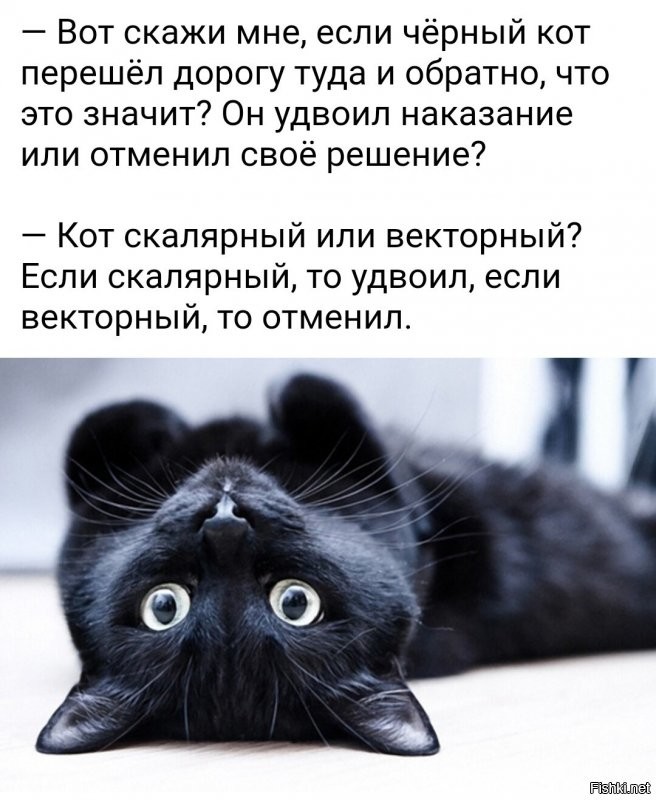 Солянка от 07.08.2020