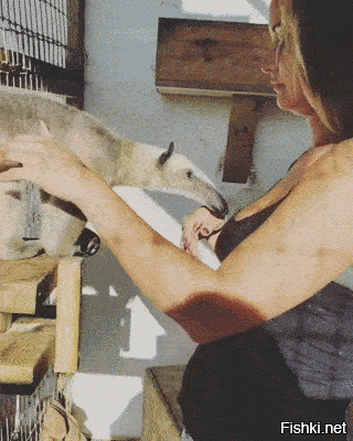 Хз о чем поют, но песня хорошая 