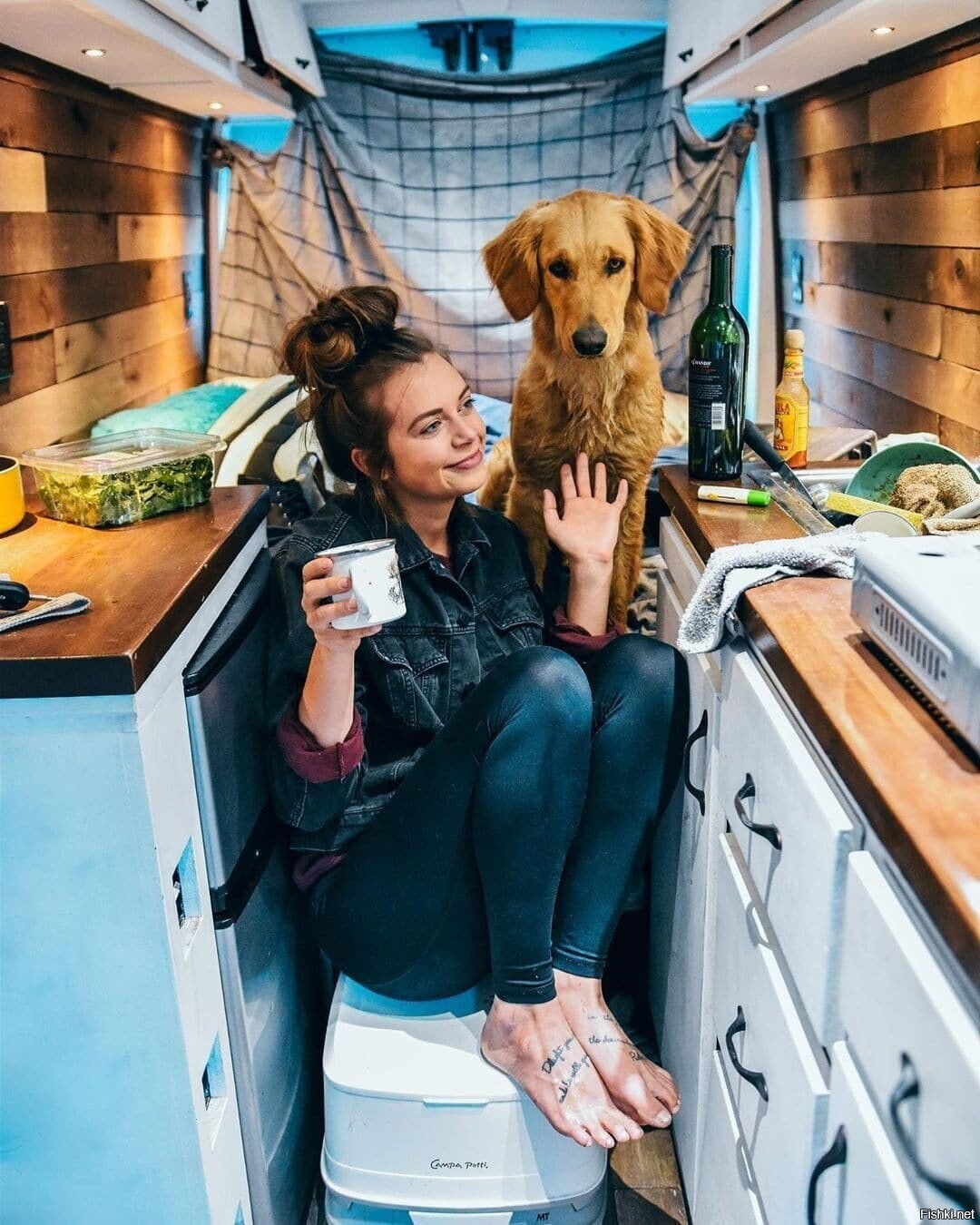 Смарткемпер. Девушка в доме на колесах. Дом на колесах для путешествий. Автодом с собакой. Девушка дом на колесах с собакой.