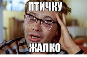 Леопард эффектно поймал птицу в прыжке