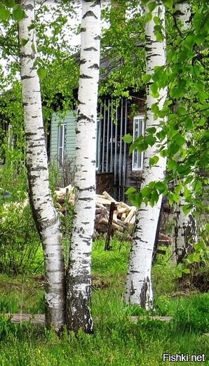 Солянка от 07.08.2020