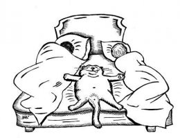 Прикольные и смешные картинки