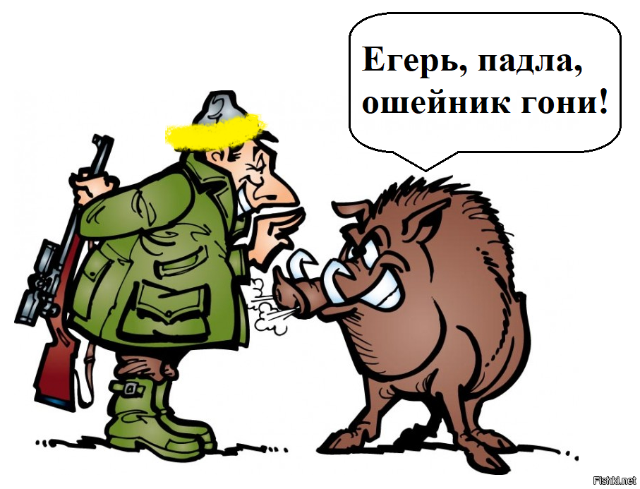 В Россию из Финляндии сбежал подопытный «токсичный» кабан
