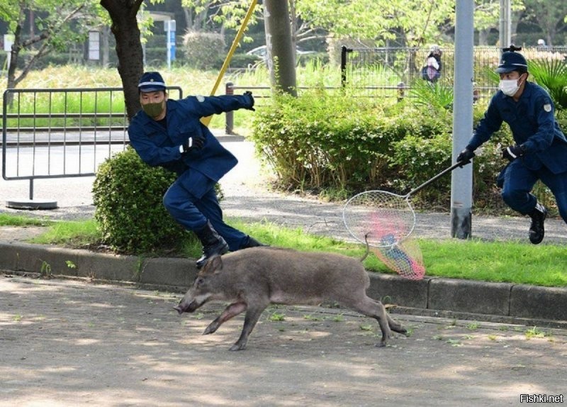 Ни один учёный в мире так и не признался, что это именно он замерял время орг...