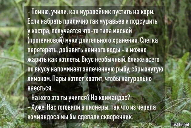 Солянка от 08.08.2020