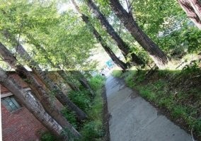 15 занимательных снимков, при взгляде на которые вас может обмануть зрение