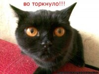 Кровавый ангел российской истории