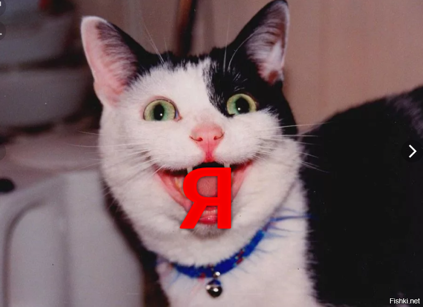 Эрудированнее