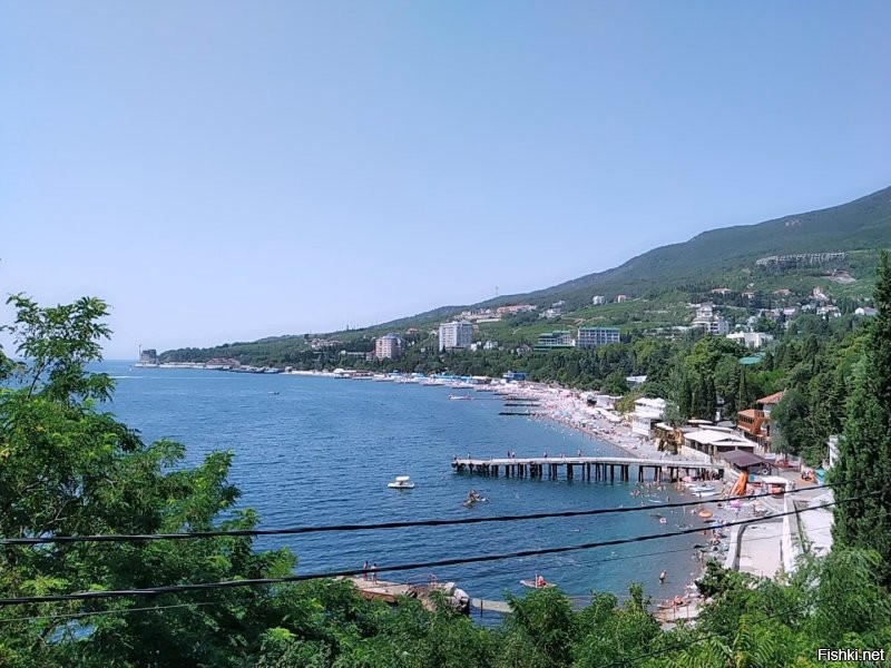Солянка от 08.08.2020