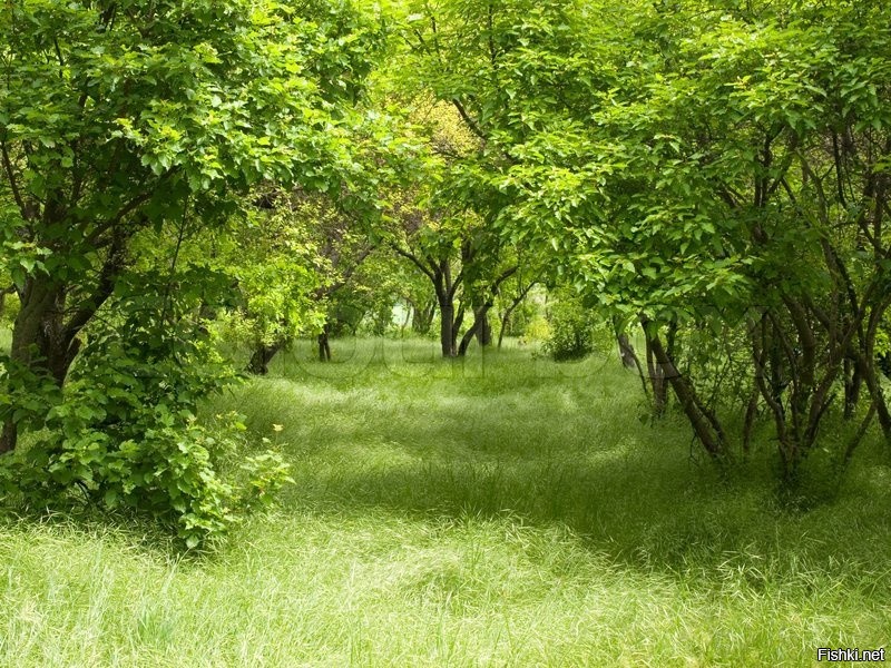 валите в бан уроды и ублюдки