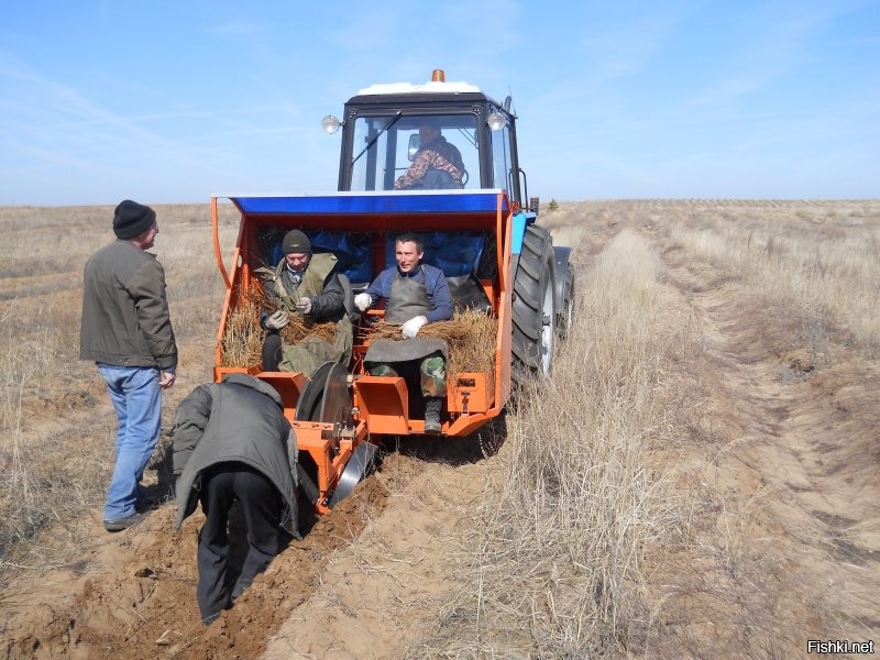 В Пакистане придумали как занять работой безработных. Приобщив к общественным работам.
 В России леса много, поэтому частичная автоматизация