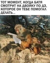 Прикольные и смешные картинки