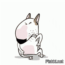 Солянка от 08.08.2020