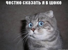 Драматичные котейки, у которых почему-то еще нет "Оскара"