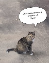 Драматичные котейки, у которых почему-то еще нет "Оскара"