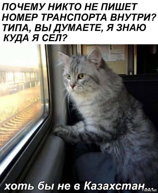 Но дома лучше )