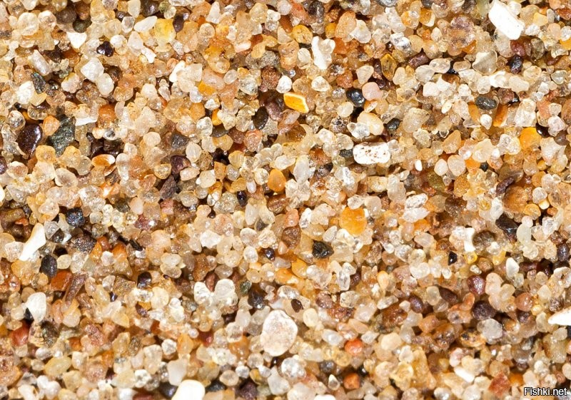Интересные факты о песке