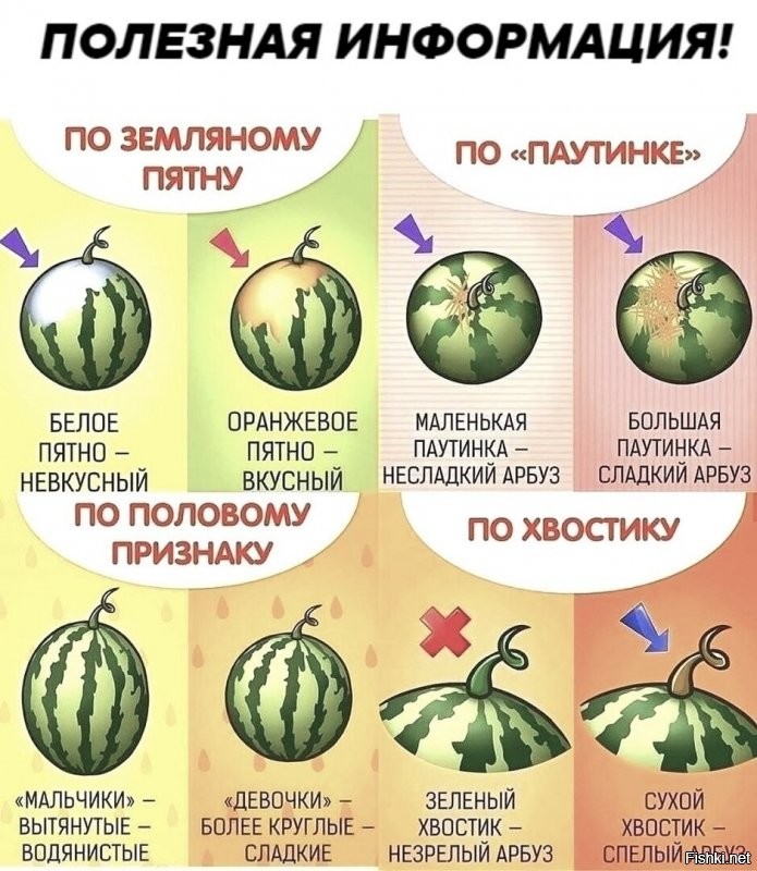 Солянка от 09.08.2020