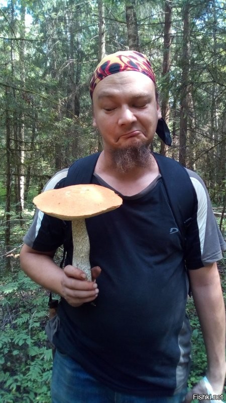 подберезовик, абсолютно не червивый ;)
