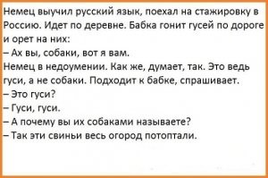 Русский для иностранцев: 25+ идиотских примеров из разговорника
