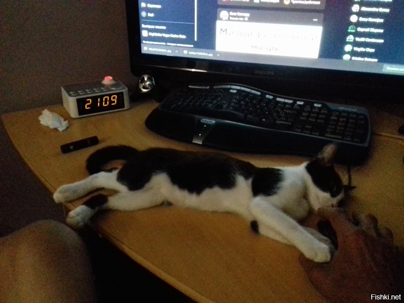 чуть вырос..