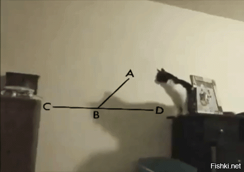 Коты невероятные воображалы!!
Вот собакены - попроще..