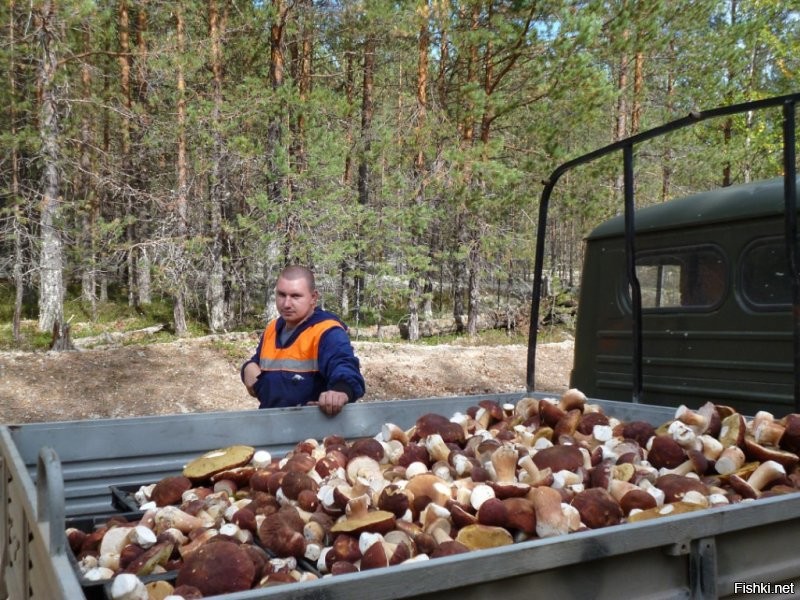 Этот все увез...