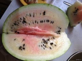 Прикольные и смешные картинки