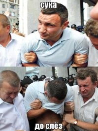 Прикольные и смешные картинки