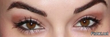 Солянка от 09.08.2020