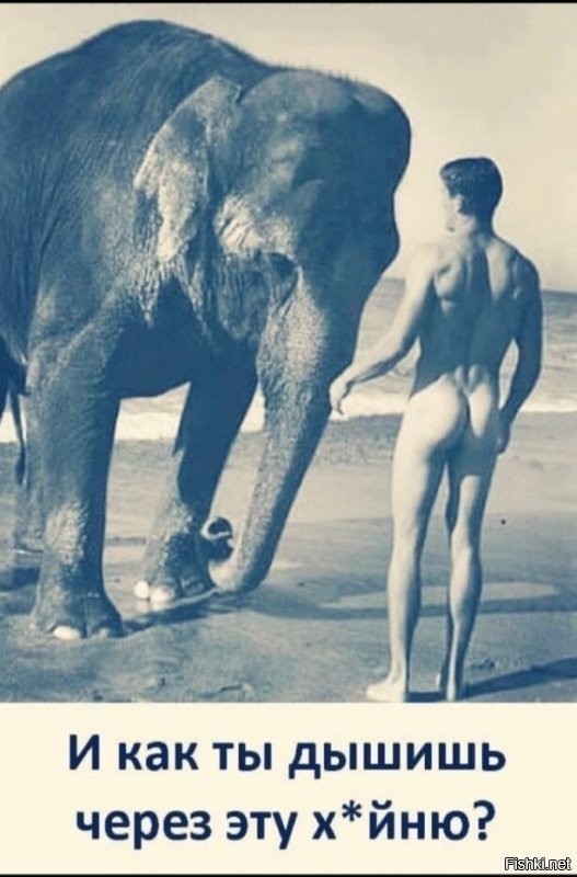 Привет, Игорян