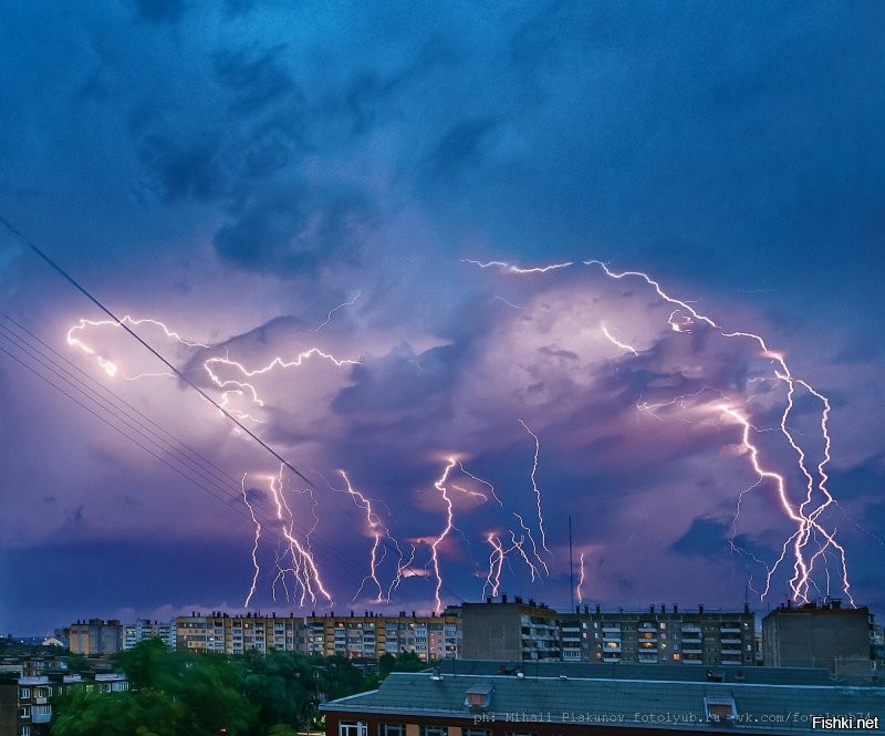 Солянка от 10.08.2020