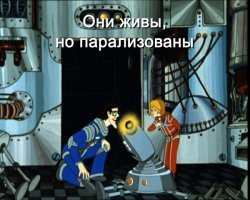 Голубь захмелел от забродивших яблок